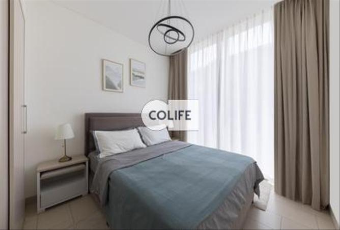11813507 - Property Image 3