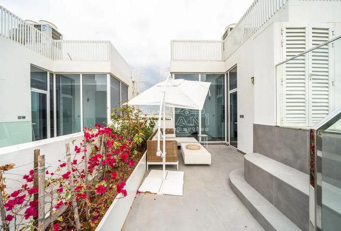 15368562 - Property Image 2