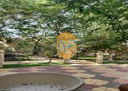 Villa - 8 bedrooms - 7 bathrooms for rent in Al Dhait South - Al Dhait - Ras Al Khaimah