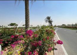 Land for sale in Saih Shuaib 1 - Jebel Ali - Dubai