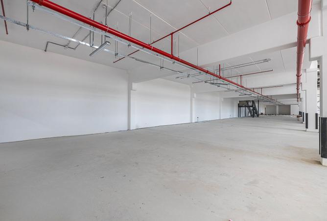 16014415 - صورة العقار 3