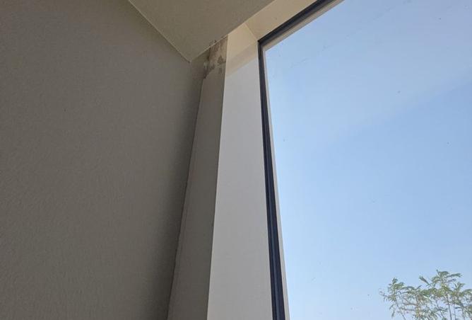 15394118 - Property Image 3