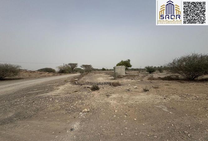 15609326 - صورة العقار 2