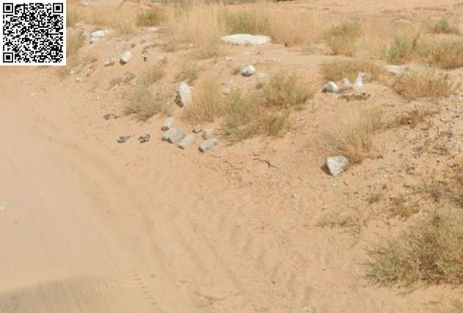 15641979 - صورة العقار 2