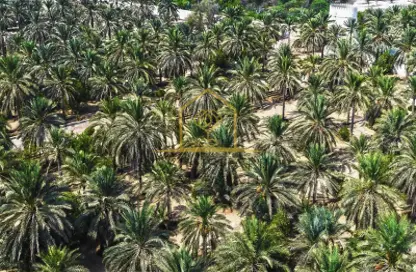 Land - Studio for sale in Al Jurf Gardens - AlJurf - Ghantoot - Abu Dhabi