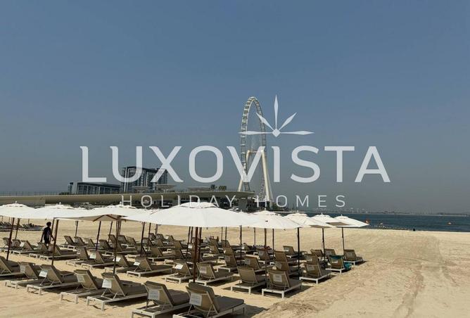 15867170 - Property Image 3