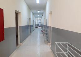Labor camb for rent available in mussafah ind area