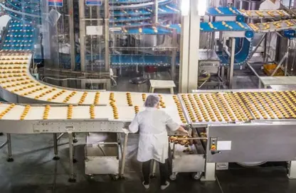 مصنع - استوديو - 8 حمامات للايجار في المنطقة الصناعية رقم 4 - المنطقة الصناعية بالشارقة - الشارقة مصنع - استوديو - 8 حمامات للايجار في المنطقة الصناعية رقم 4 - المنطقة الصناعية بالشارقة - الشارقة