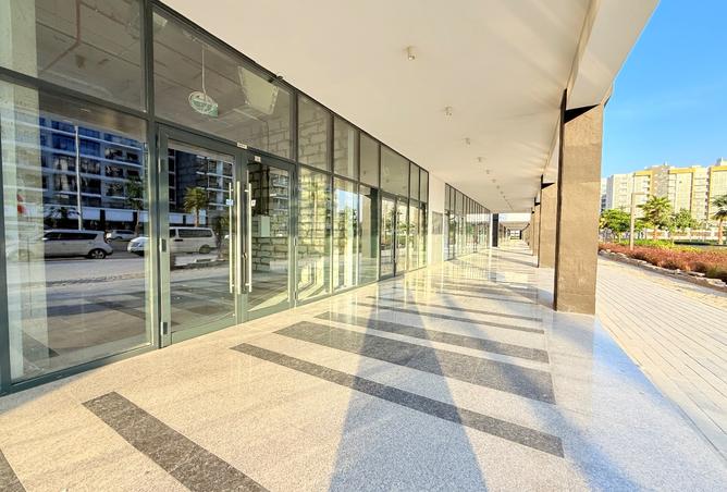 15163672 - Property Image 3