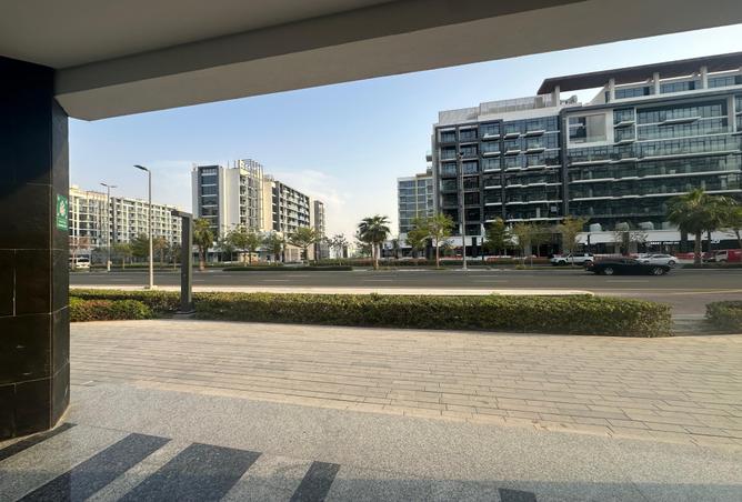 15583976 - Property Image 3