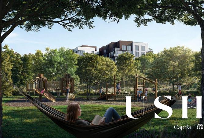 15515484 - Property Image 3