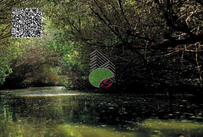 15616305 - صورة العقار 3