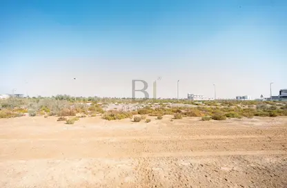 أرض - استوديو للبيع في سيح شعيب 1 - جبل علي - دبي أرض - استوديو للبيع في سيح شعيب 1 - جبل علي - دبي