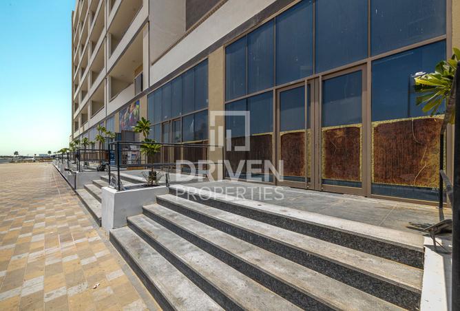 14357220 - Property Image 3