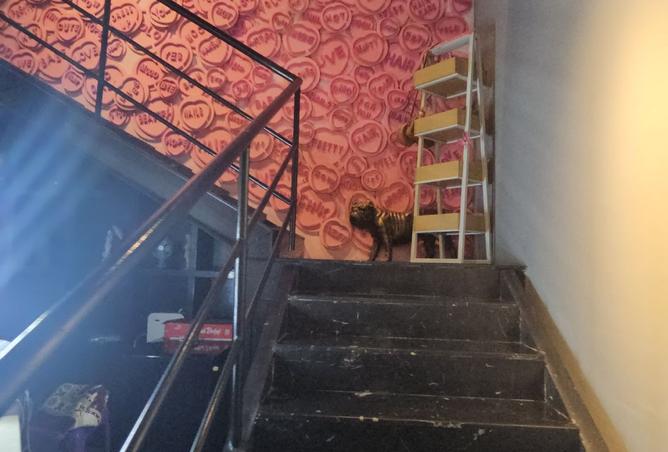 15939714 - صورة العقار 2