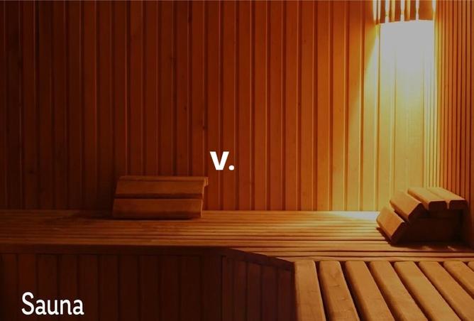 15979778 - صورة العقار 3