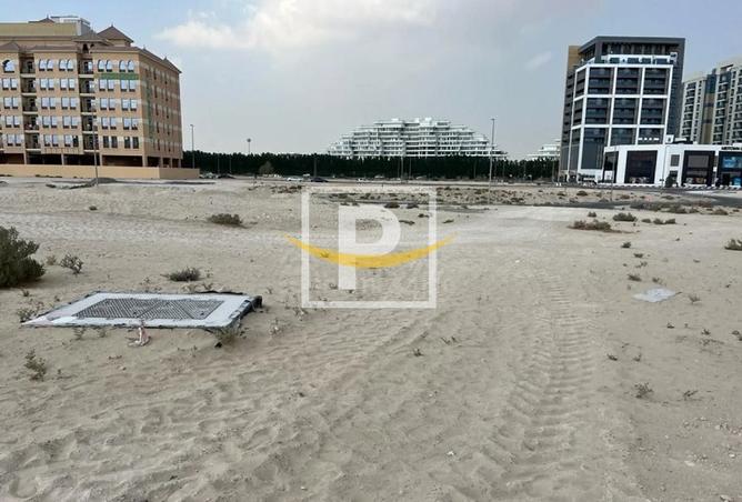 14486469 - Property Image 3