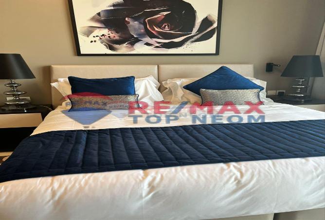 15691636 - Property Image 3