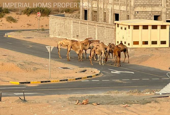 15472726 - صورة العقار 3
