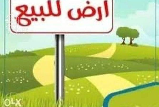 15318388 - Property Image 2