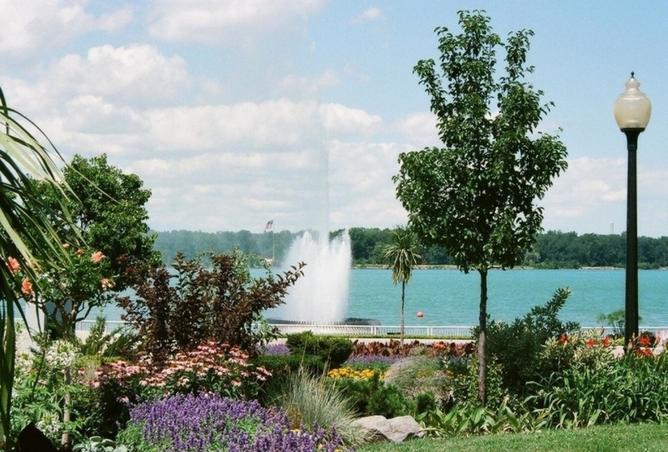 15742378 - Property Image 3