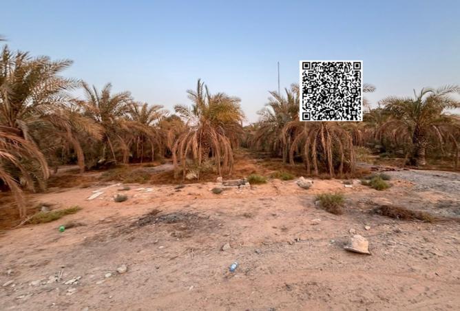 16101609 - صورة العقار 3