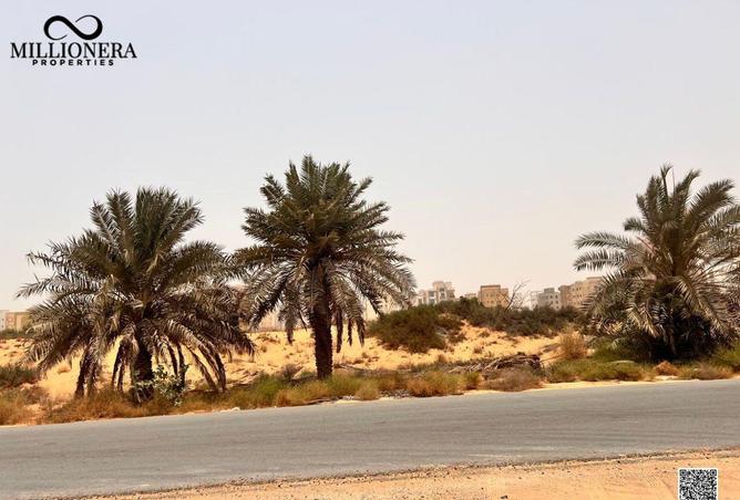 15183006 - Property Image 3