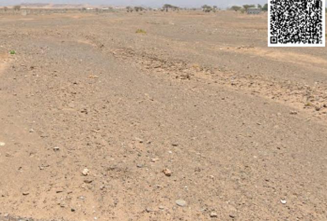 15722128 - صورة العقار 2