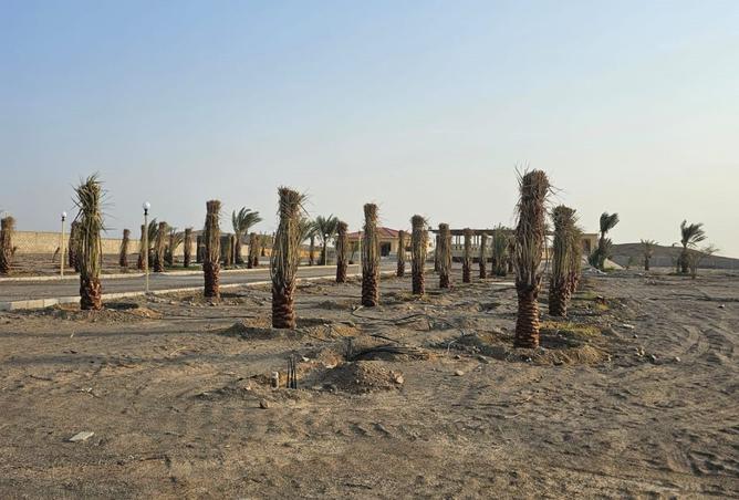 15655079 - Property Image 3