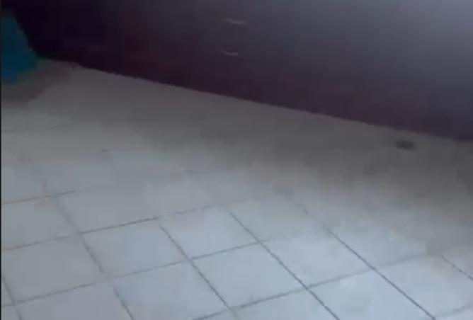 15761838 - صورة العقار 3