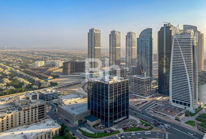 15579041 - Property Image 3