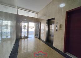 Apartment - 2 bedrooms - 2 bathrooms for rent in Al Ameriya - Al Jimi - Al Ain