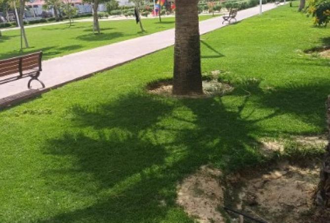 15678850 - صورة العقار 3