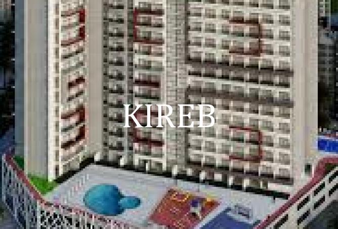 15590672 - Property Image 3