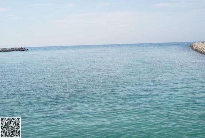 15193319 - صورة العقار 2
