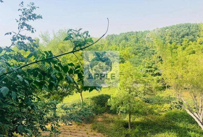 16076275 - صورة العقار 2