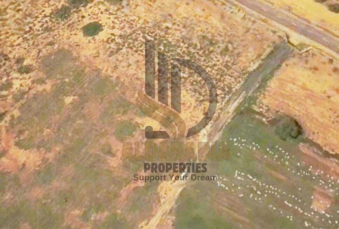 16031471 - Property Image 3