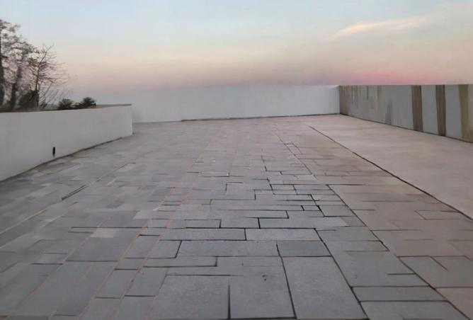 15291853 - صورة العقار 3