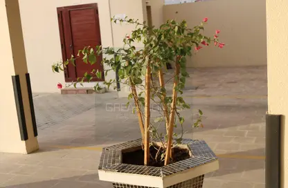 سكن عمال - استوديو - 8 حمامات للايجار في مجمع دبي للاستثمار 2 - مجمع دبي للاستثمار - دبي