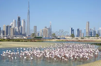صورة لـ منظر مائي. أرض - استوديو للبيع في بو كدرة - دبي ، صورة رقم 1