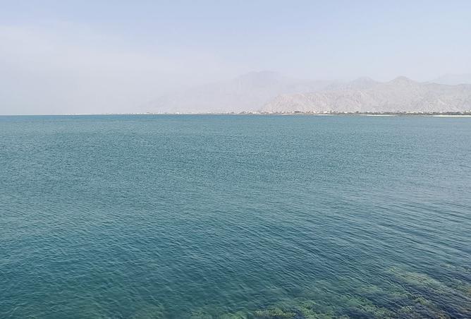 15151721 - صورة العقار 2
