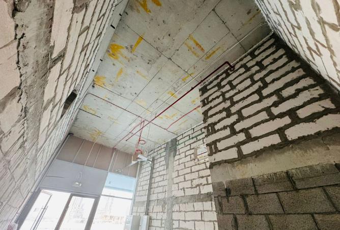 15543994 - Property Image 3