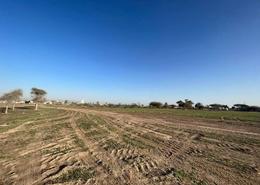 أرض للبيع في المنامة - عجمان