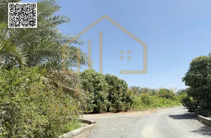 أرض - استوديو للبيع في مصفوت 2 - مصفوت - عجمان