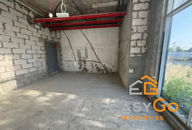 14251161 - Property Image 2