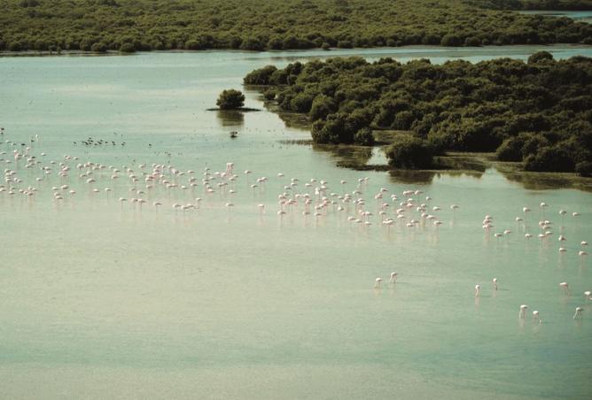 16019353 - Property Image 3