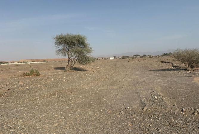 15596055 - Property Image 2