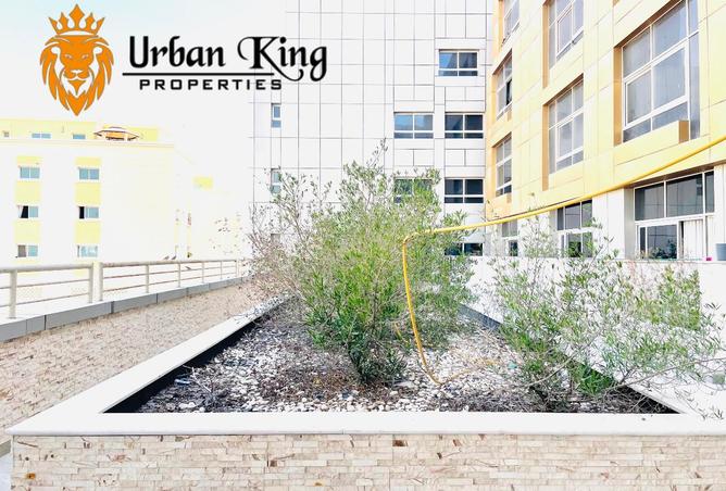 15823972 - صورة العقار 2