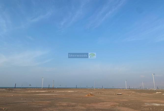 14735548 - صورة العقار 2