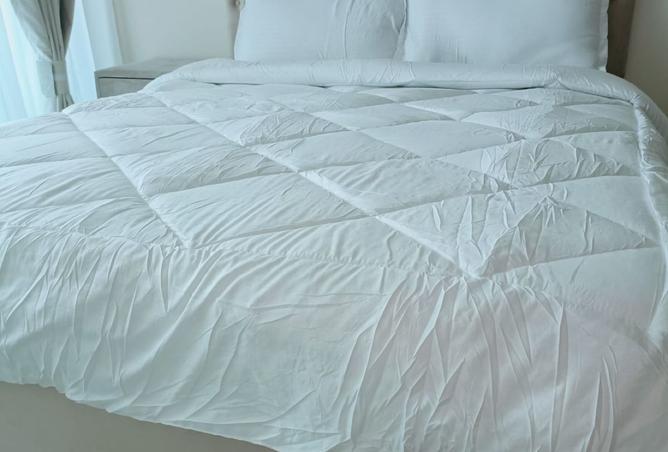 15146164 - Property Image 3